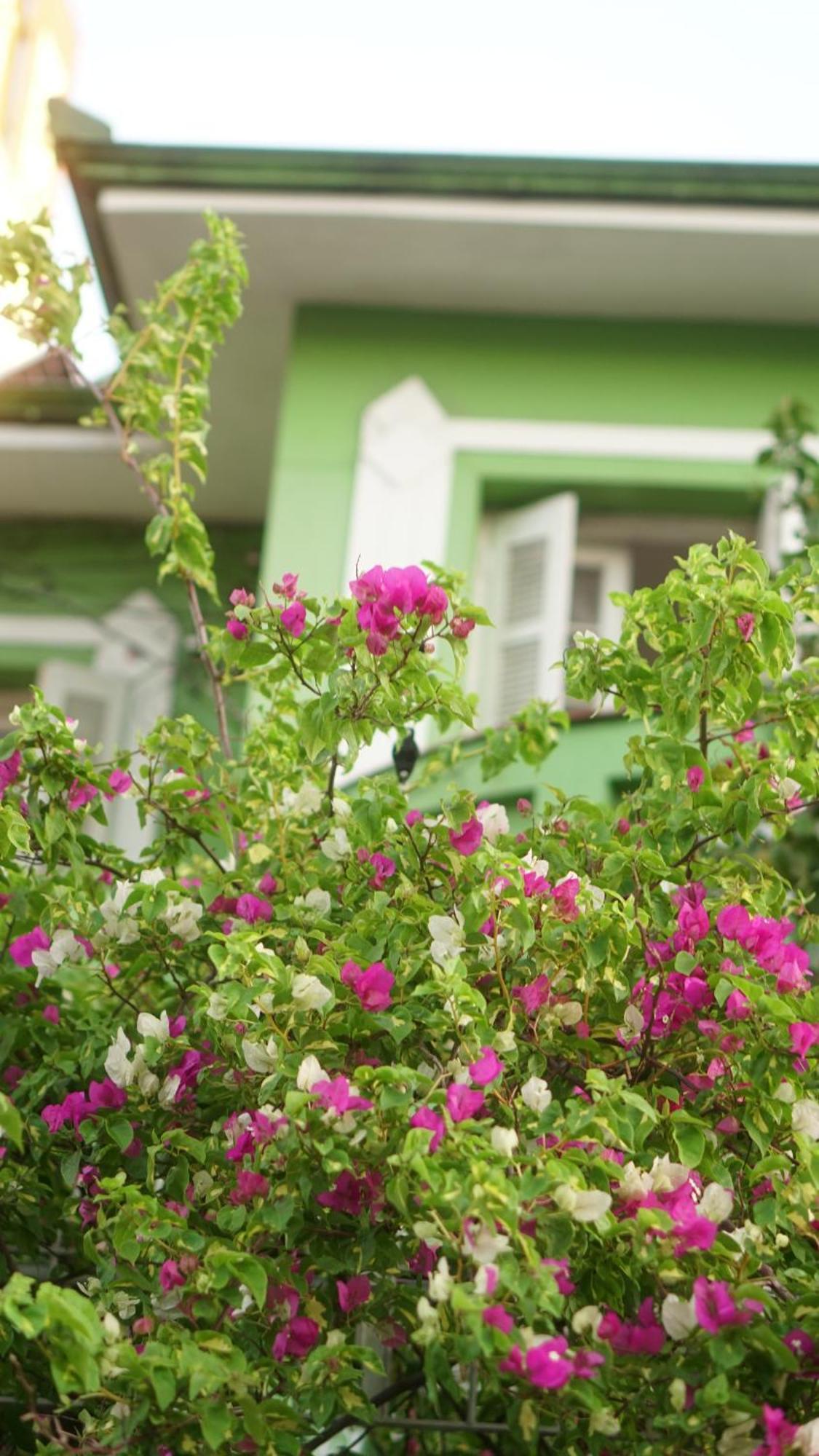 Hostal Poa Eco