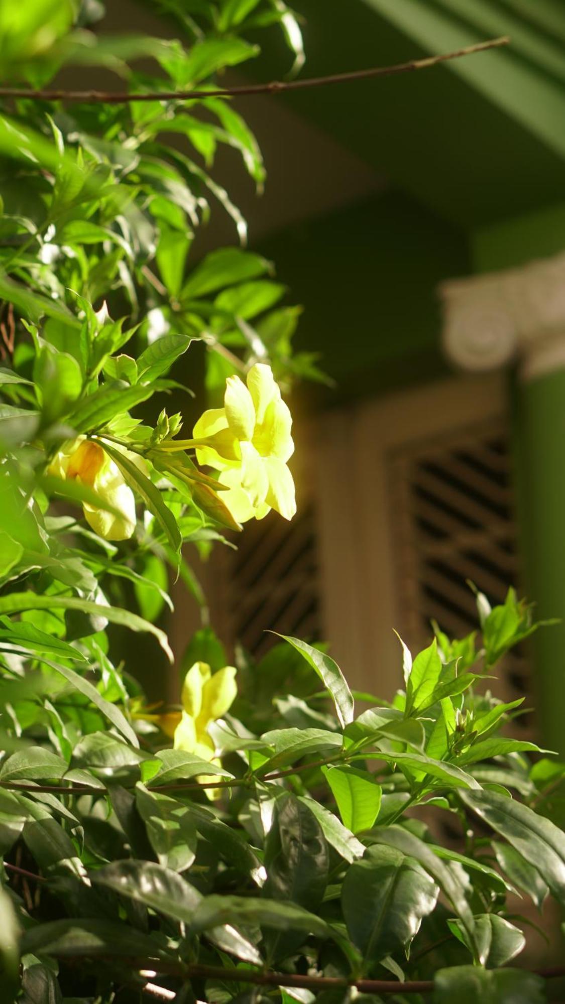 Hostal Poa Eco *
