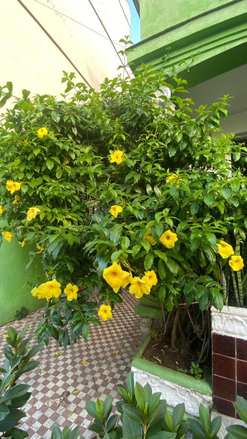Poa Eco Hostal *