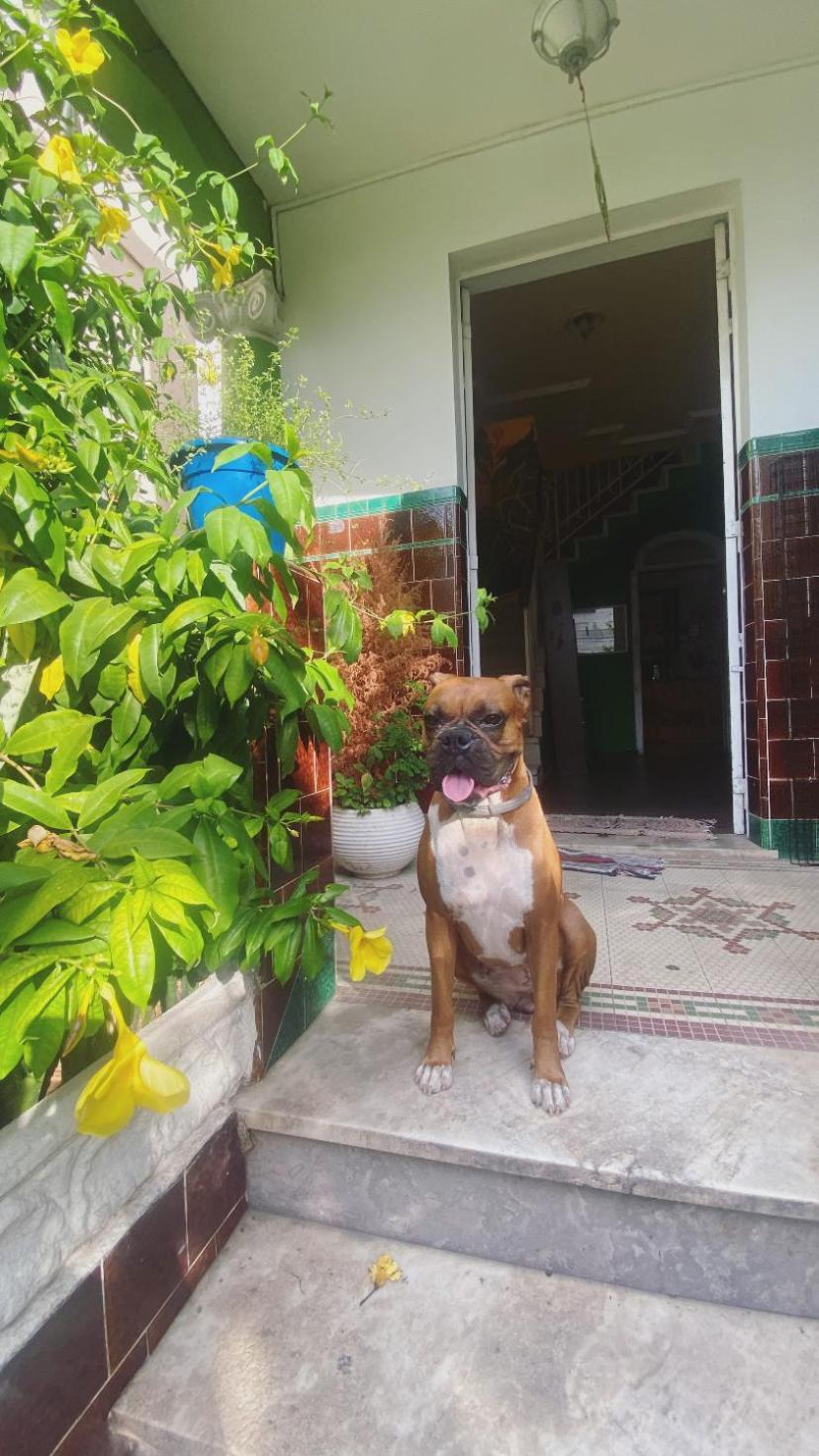Poa Eco Hostal *